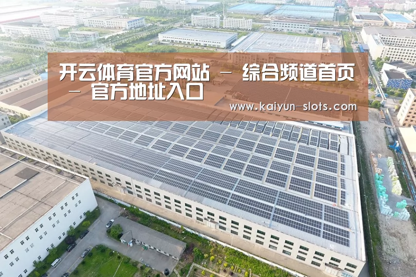 案例展示二