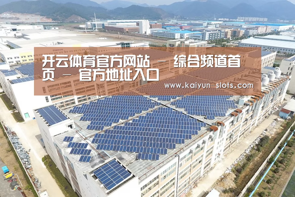 案例展示四