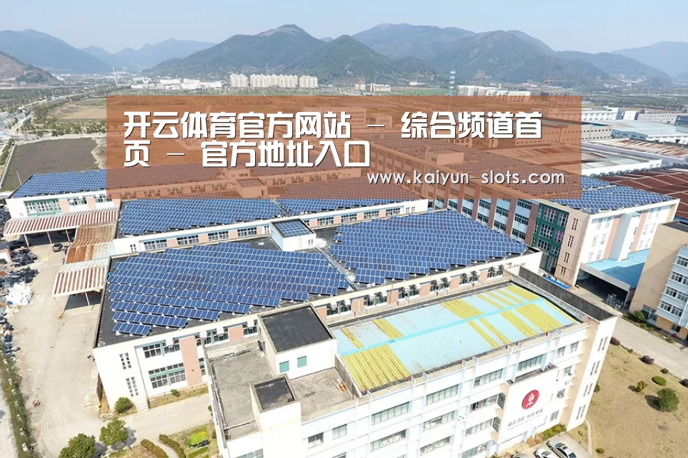 案例展示三