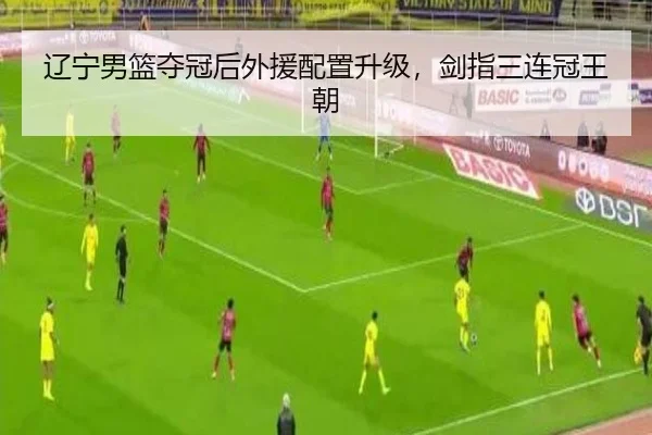 liao-ning-nan-lan-duo-guan-hou-wai-yuan-pei-zhi-sheng-ji-jian-zhi-san-lian-guan-wang-chao-3-593.jpg