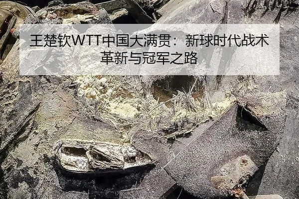 wang-chu-qin-zhong-guo-da-man-guan-xin-qiu-shi-dai-zhan-shu-ge-xin-yu-guan-jun-zhi-lu-3-655.jpg