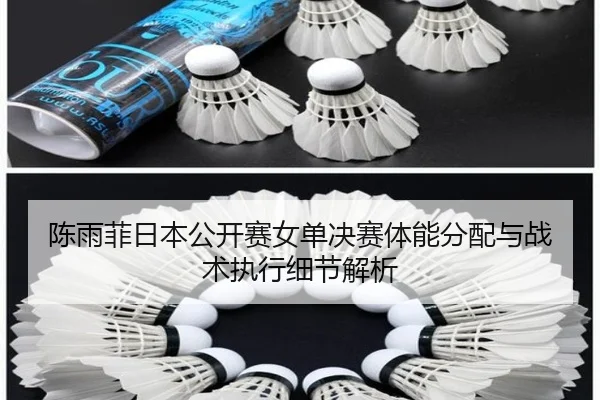 chen-yu-fei-ri-ben-gong-kai-sai-nv-dan-jue-sai-ti-neng-fen-pei-yu-zhan-shu-zhi-xing-xi-jie-jie-xi-2-646.jpg