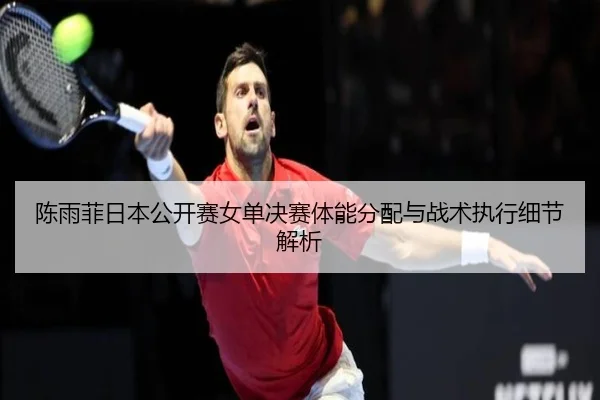 chen-yu-fei-ri-ben-gong-kai-sai-nv-dan-jue-sai-ti-neng-fen-pei-yu-zhan-shu-zhi-xing-xi-jie-jie-xi-3-932.jpg