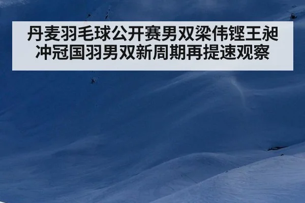 丹麦羽毛球公开赛男双梁伟铿王昶冲冠国羽男双新周期再提速观察